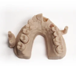 dental mode