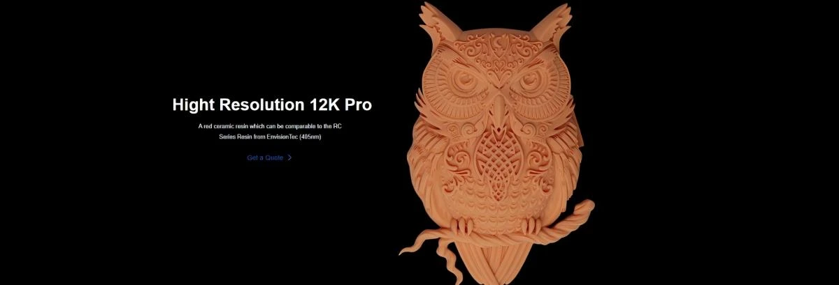 Detail display of 3D printed owl model made with NextShapes HR 12K Pro Resin, showcasing ultra-fine feather and facial pattern reproduction