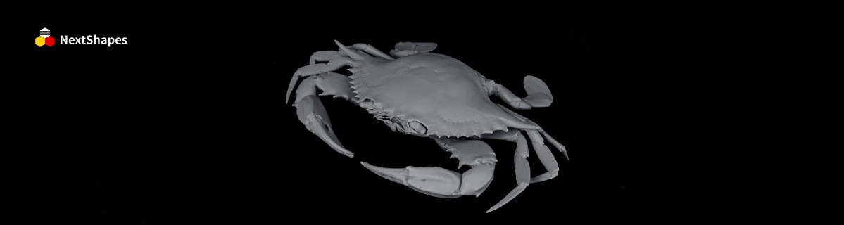 Side-angle view of 3D printed hairy crab model made with NextShapes Standard Pro resin, highlighting delicate surface texture and gradient shade restoration, ideal for post-painting and polishing