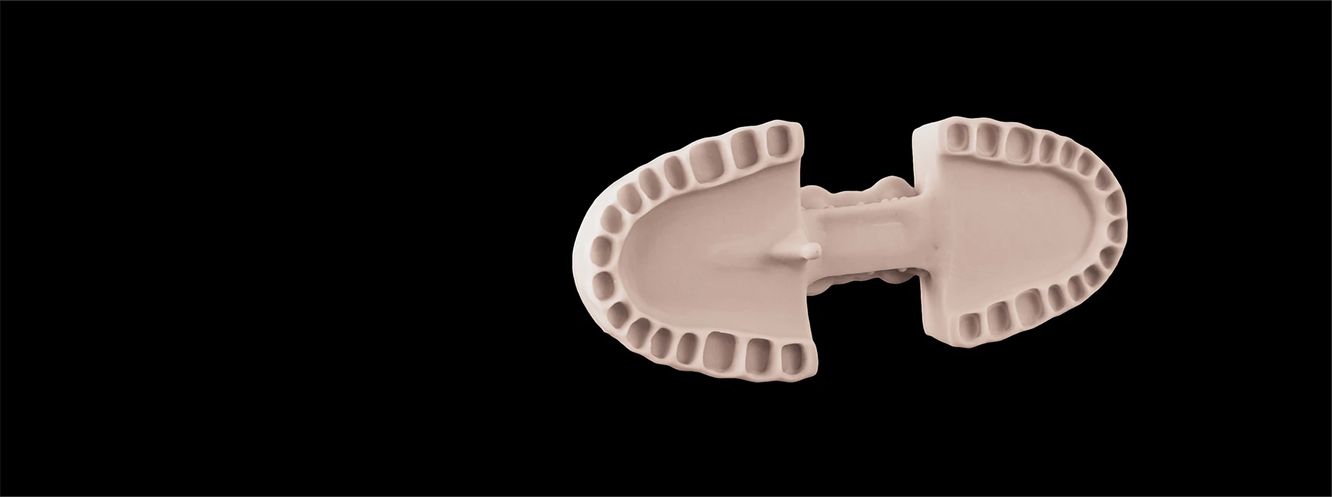 dental model