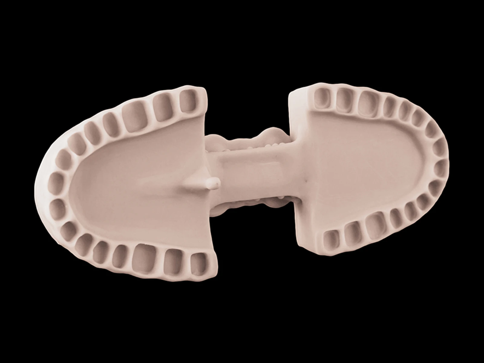 dental model 02