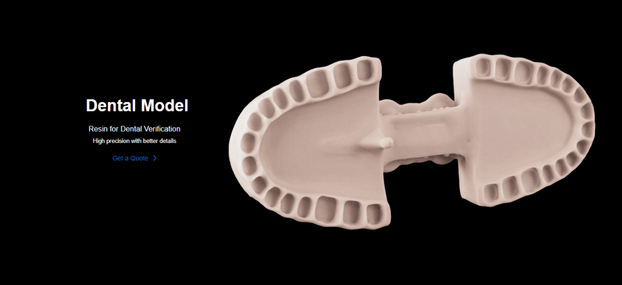 High-detail 3D printed dental arch model made with NextShapes DM600 resin, highlighting precision for orthodontic and surgical guide applications