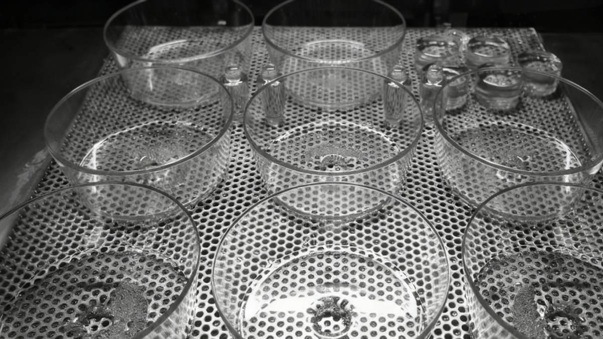SLA 3D printed parts arranged on a perforated curing tray, showing clean, detailed prints ready for post-processing