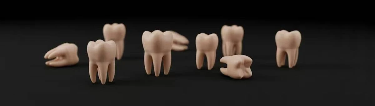 Collection display of 3D printed single-tooth models made with NextShapes Dental Model Resin, demonstrating precise replication of tooth morphology
